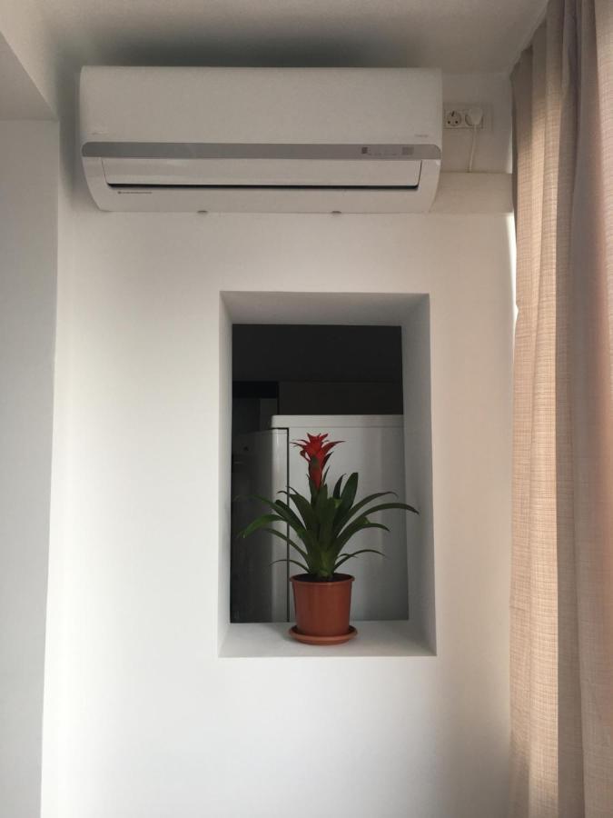 Take Timisoara Apartment Buitenkant foto